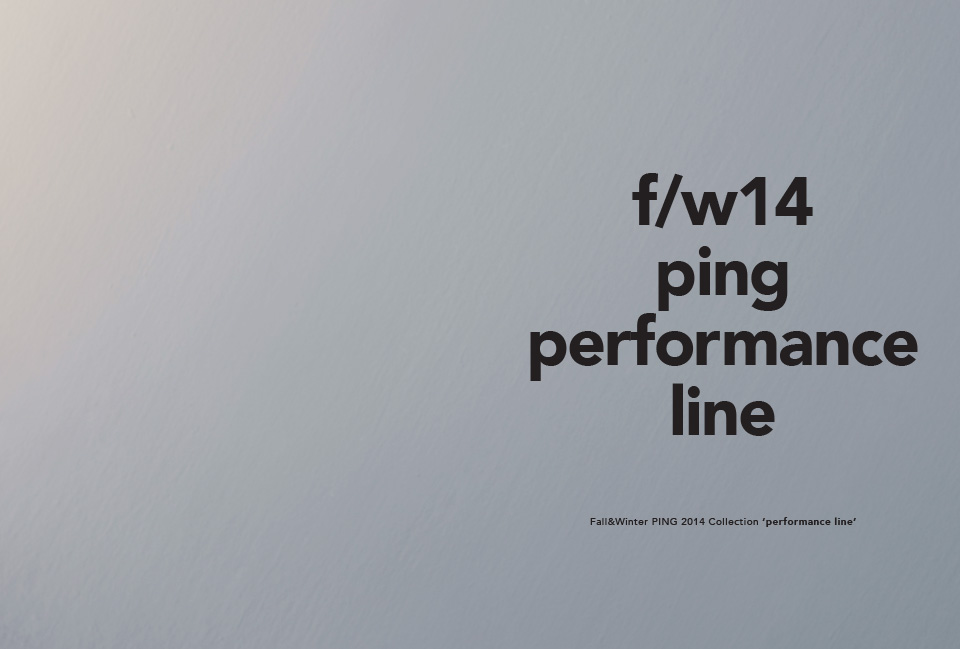 2014FW